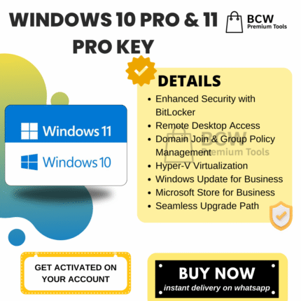 Windows 10 / 11 Pro